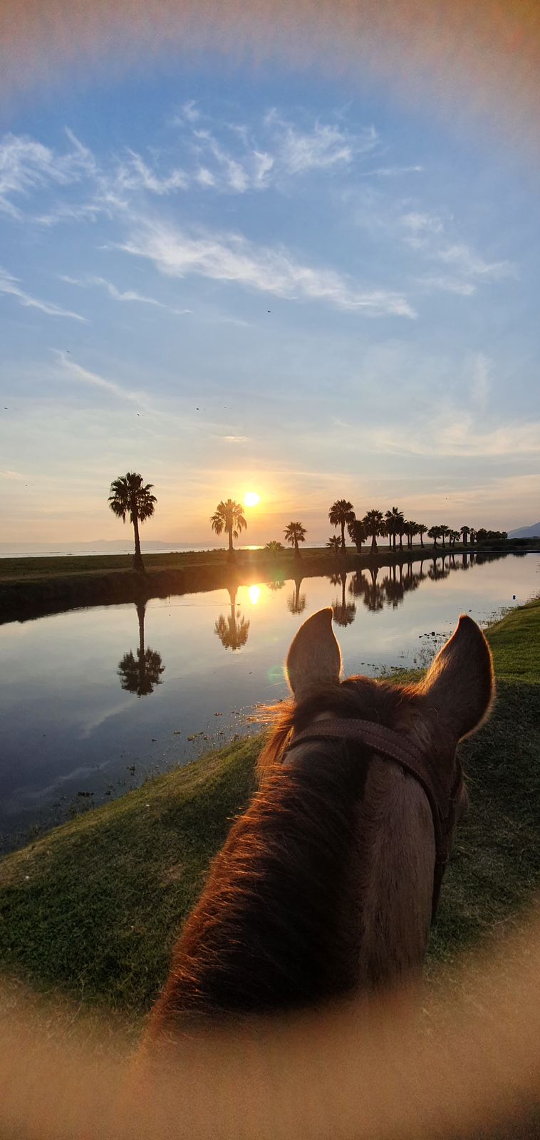 Mindfulness con caballos