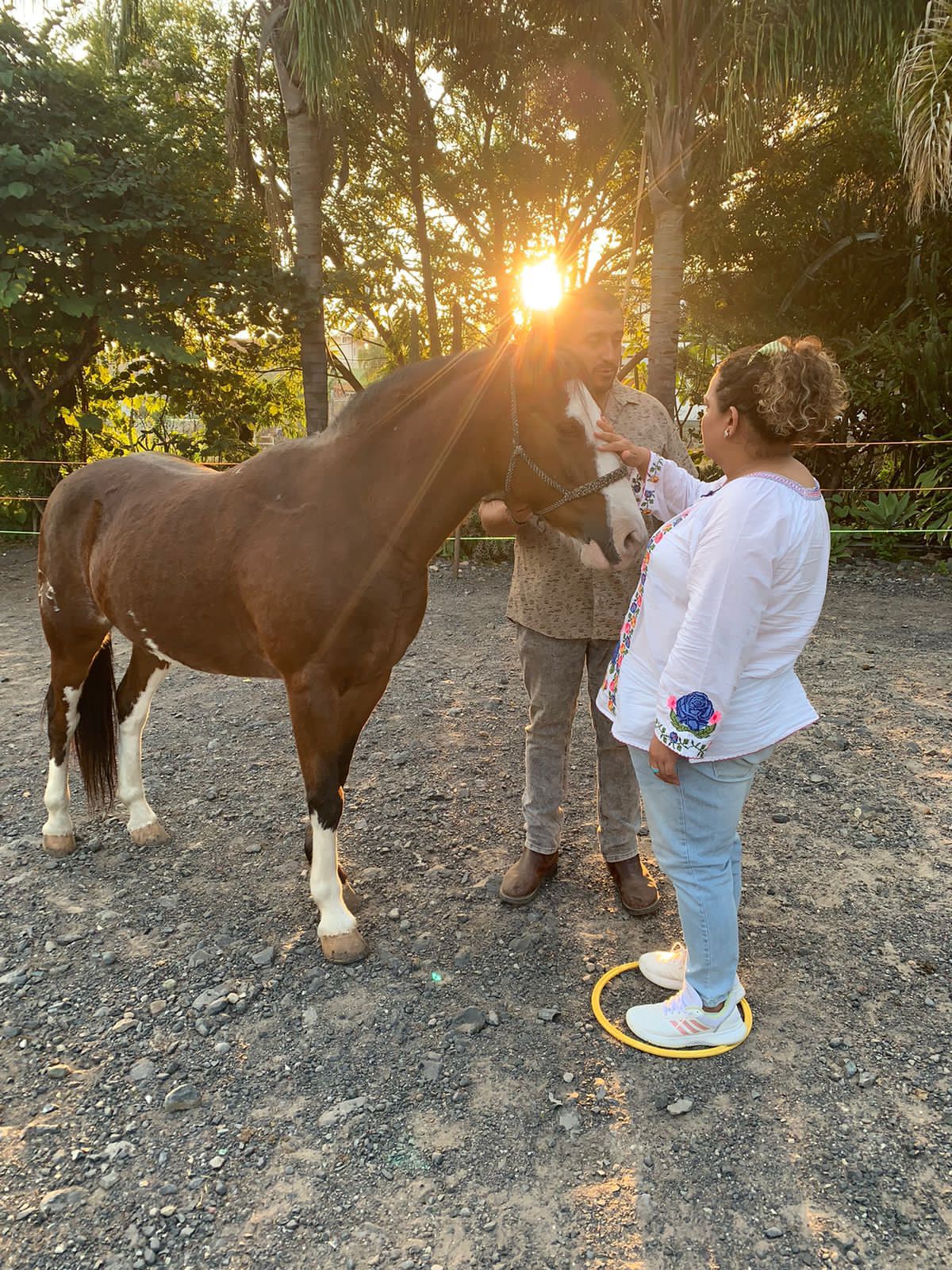 Conexión espiritual con caballos