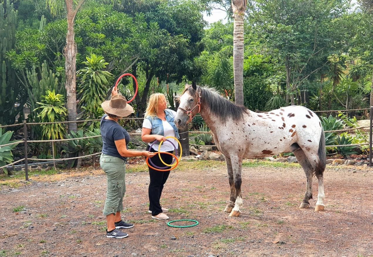Transformación Integral